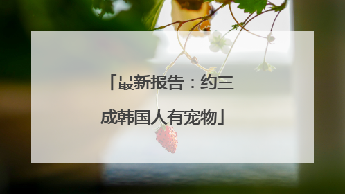 最新报告：约三成韩国人有宠物