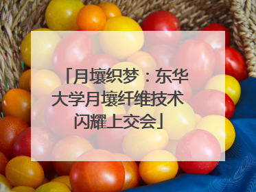 月壤织梦：东华大学月壤纤维技术闪耀上交会