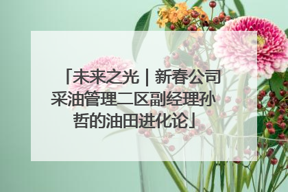未来之光｜新春公司采油管理二区副经理孙哲的油田进化论