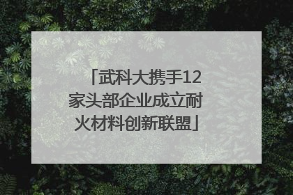 武科大携手12家头部企业成立耐火材料创新联盟