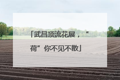 武昌顶流花展，“荷”你不见不散