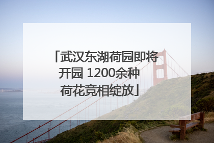武汉东湖荷园即将开园 1200余种荷花竞相绽放
