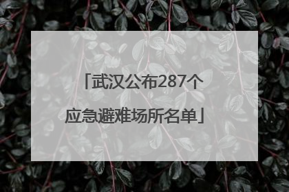 武汉公布287个应急避难场所名单