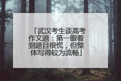 武汉考生谈高考作文题：第一眼看到题目很慌，但整体写得较为流畅