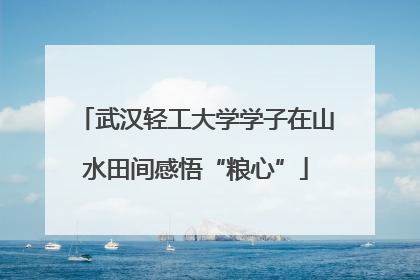 武汉轻工大学学子在山水田间感悟“粮心”