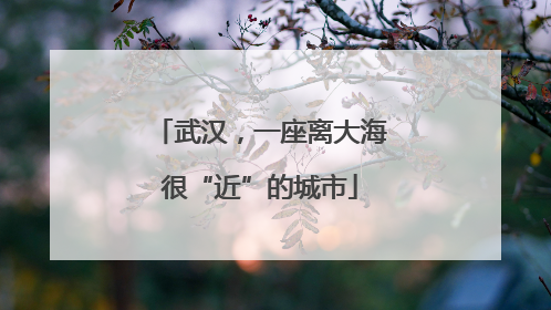 武汉，一座离大海很“近”的城市