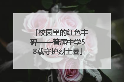 校园里的红色丰碑——普满中学58载守护烈士墓