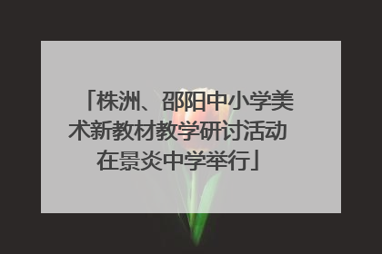 株洲、邵阳中小学美术新教材教学研讨活动在景炎中学举行