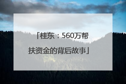 桂东：560万帮扶资金的背后故事