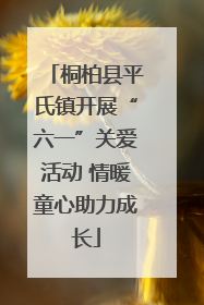 桐柏县平氏镇开展“六一”关爱活动 情暖童心助力成长