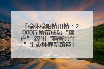 榆林榆阳镇川镇：2000斤蟹苗成功“落户” 蹚出“稻蟹共生”生态种养新路径