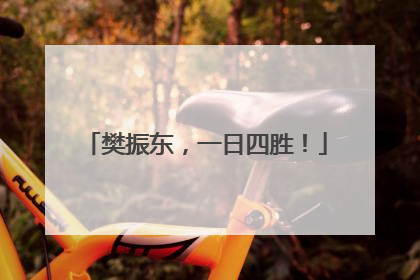 樊振东，一日四胜！