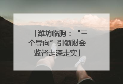 潍坊临朐：“三个导向”引领财会监督走深走实