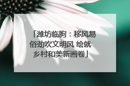潍坊临朐：移风易俗劲吹文明风 绘就乡村和美新画卷
