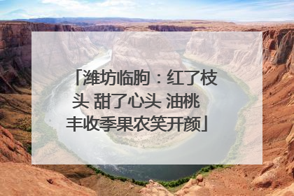 潍坊临朐：红了枝头 甜了心头 油桃丰收季果农笑开颜