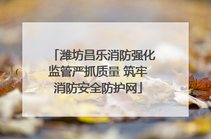 潍坊昌乐消防强化监管严抓质量 筑牢消防安全防护网