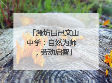 潍坊昌邑文山中学：自然为师，劳动启智