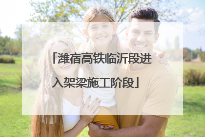 潍宿高铁临沂段进入架梁施工阶段
