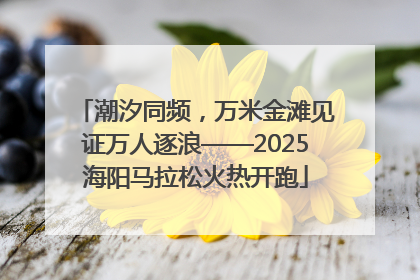 潮汐同频，万米金滩见证万人逐浪——2025海阳马拉松火热开跑