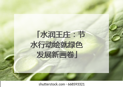 水润王庄：节水行动绘就绿色发展新画卷