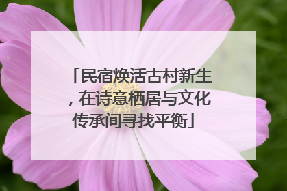 民宿焕活古村新生，在诗意栖居与文化传承间寻找平衡