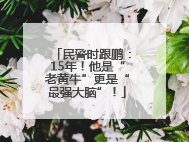 民警时跟鹏：15年！他是“老黄牛”更是“最强大脑”！