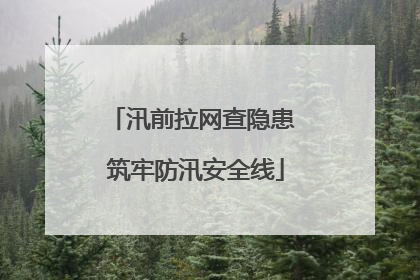汛前拉网查隐患 筑牢防汛安全线