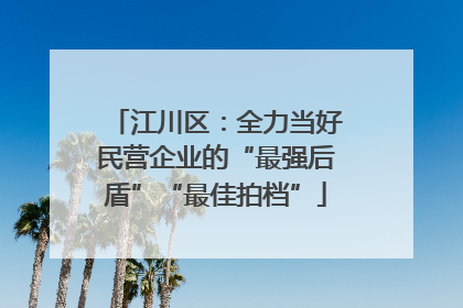 江川区：全力当好民营企业的“最强后盾”“最佳拍档”