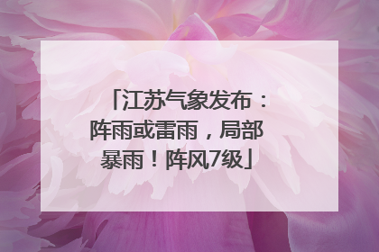 江苏气象发布：阵雨或雷雨，局部暴雨！阵风7级
