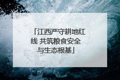 江西严守耕地红线 共筑粮食安全与生态根基