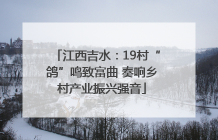 江西吉水：19村“鸽”鸣致富曲 奏响乡村产业振兴强音