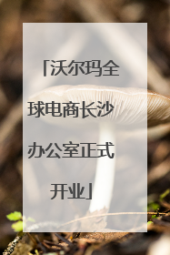 沃尔玛全球电商长沙办公室正式开业