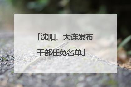 沈阳、大连发布干部任免名单