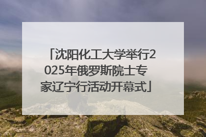 沈阳化工大学举行2025年俄罗斯院士专家辽宁行活动开幕式