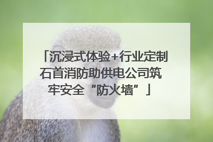 沉浸式体验+行业定制 石首消防助供电公司筑牢安全“防火墙”