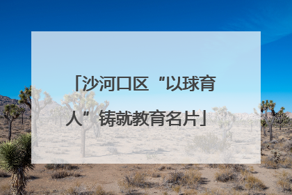 沙河口区“以球育人”铸就教育名片