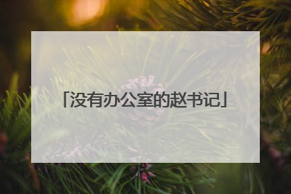 没有办公室的赵书记