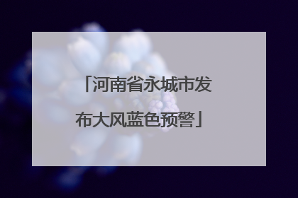 河南省永城市发布大风蓝色预警