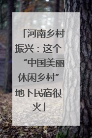 河南乡村振兴：这个“中国美丽休闲乡村”地下民宿很火