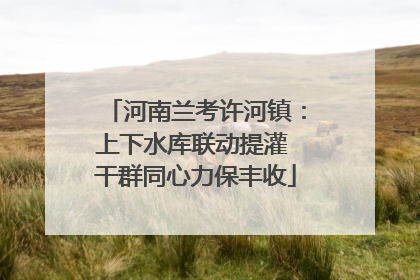 河南兰考许河镇：上下水库联动提灌 干群同心力保丰收