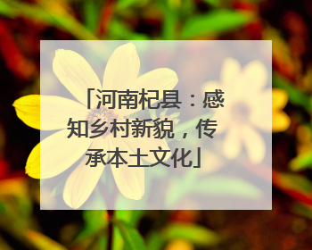 河南杞县：感知乡村新貌，传承本土文化