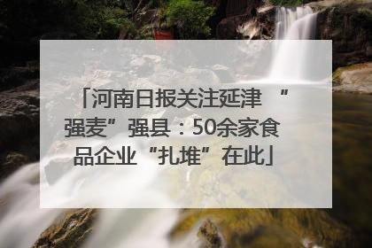 河南日报关注延津 “强麦”强县：50余家食品企业“扎堆”在此