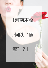 河南麦收，何以“顶流”？