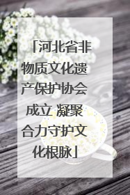 河北省非物质文化遗产保护协会成立 凝聚合力守护文化根脉