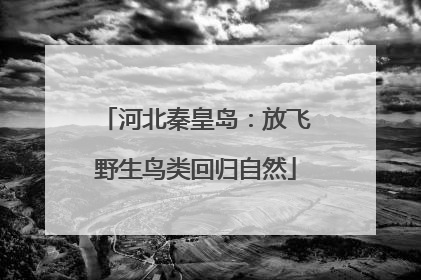 河北秦皇岛：放飞野生鸟类回归自然