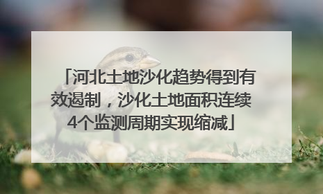 河北土地沙化趋势得到有效遏制，沙化土地面积连续4个监测周期实现缩减