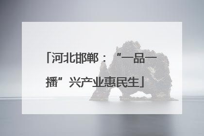 河北邯郸：“一品一播”兴产业惠民生