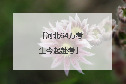河北64万考生今起赴考