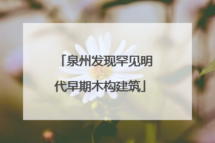 泉州发现罕见明代早期木构建筑