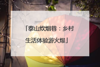 泰山炊烟巷：乡村生活体验游火爆